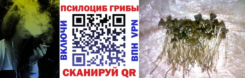 Галлюциногенные грибы Magic Shrooms купить наркотики цена Малоярославец