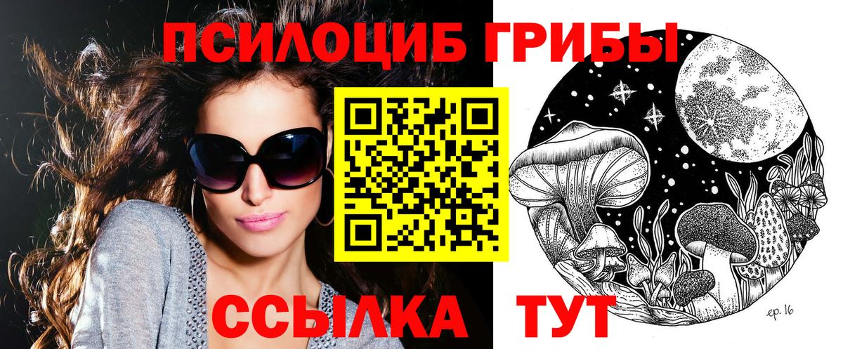 Псилоцибиновые грибы MAGIC MUSHROOMS  Галлюциногенные грибы Psilocybe  купить закладку  Малоярославец 