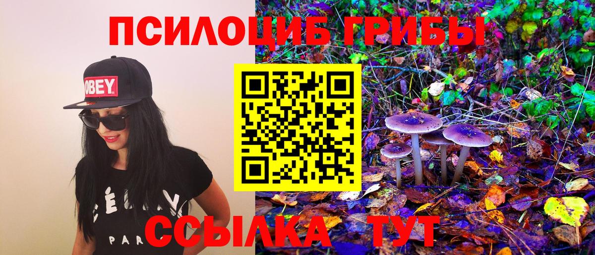 Псилоцибиновые грибы Magic Shrooms Малоярославец