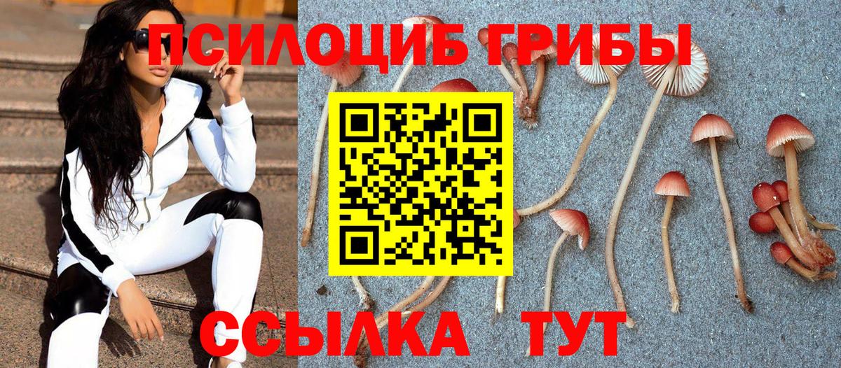 Малоярославец  Галлюциногенные грибы MAGIC MUSHROOMS  Вход с VPN 