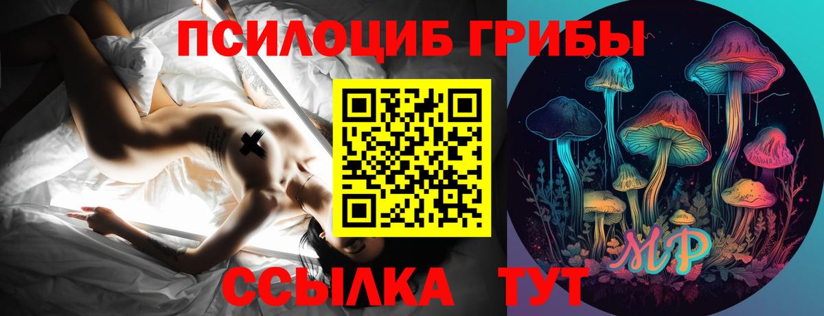 Галлюциногенные грибы MAGIC MUSHROOMS Малоярославец